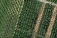 Vendita Terreno Agricolo Vignola