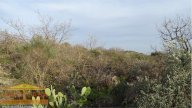 Vendita Terreno Agricolo Camporotondo Etneo