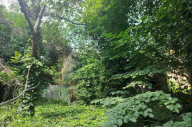 Vendita Terreno Edificabile Monza