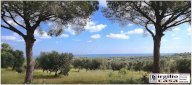 Vendita Terreno Agricolo Carovigno