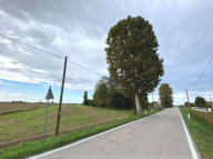Vendita Terreno Agricolo Candiana