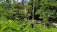 Vendita Terreno Agricolo Noventa di Piave