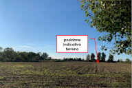 Vendita Terreno Agricolo Camponogara
