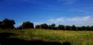 Vendita Terreno Edificabile Corridonia