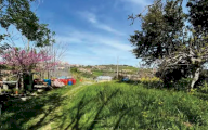 Vendita Terreno Agricolo Sant'Elpidio a Mare
