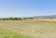 Vendita Terreno Agricolo Bassano del Grappa