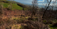 Vendita Terreno Agricolo Valsamoggia
