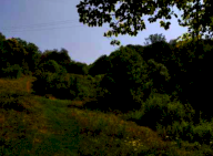 Vendita Terreno Agricolo San Zenone degli Ezzelini
