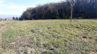 Vendita Terreno Agricolo San Giovanni Valdarno