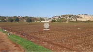 Vendita Terreno Agricolo Noto