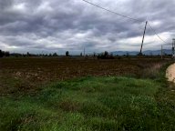 Vendita Terreno Agricolo Cannara