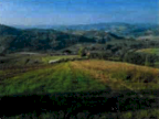 Vendita Terreno Agricolo Cesena
