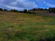 V Terreno agricolo Imola