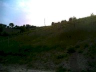 Vendita Terreno Agricolo Savignano sul Panaro