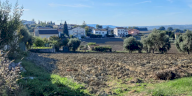Vendita Terreno Edificabile Osimo
