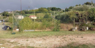 Vendita Terreno Agricolo Grottazzolina