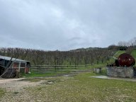 V Terreno agricolo Sasso Marconi