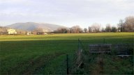 Vendita Terreno Agricolo Assisi
