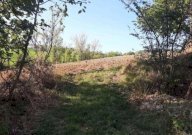 Vendita Terreno Agricolo Piozzano