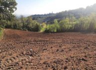 Vendita Terreno Agricolo Agazzano