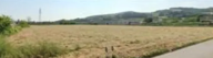 Vendita Terreno Edificabile Montecalvo in Foglia