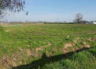 Vendita Terreno Agricolo Sant'Angelo Lodigiano