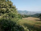 Vendita Terreno Agricolo Pianello Val Tidone