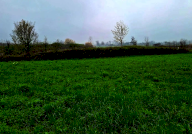 Vendita Terreno Edificabile Zugliano