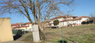 Vendita Terreno Edificabile Orgiano