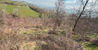 Vendita Terreno Agricolo Valsamoggia
