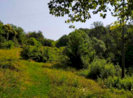 Vendita Terreno Agricolo San Zenone degli Ezzelini