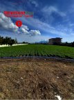 Vendita Terreno Agricolo Nola