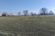Vendita Terreno Agricolo Parma