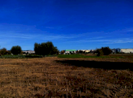 Vendita Terreno Agricolo Cartoceto