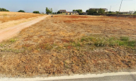 Vendita Terreno Agricolo Oppeano