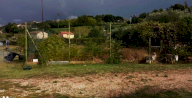 Vendita Terreno Agricolo Grottazzolina