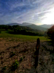 Vendita Terreno Agricolo Mercato Saraceno