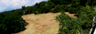 Vendita Terreno Agricolo Fara Vicentino