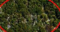 Vendita Terreno Agricolo San Leo