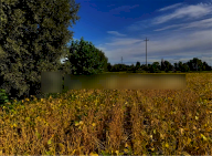 Vendita Terreno Agricolo Fossalta di Portogruaro