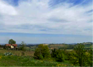 Vendita Terreno Agricolo Bertinoro