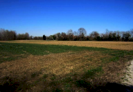 Vendita Terreno Agricolo Venezia