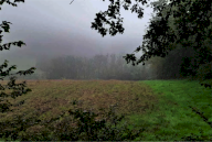 Vendita Terreno Agricolo Terre Roveresche