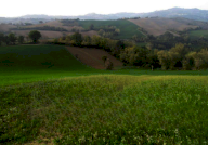 Vendita Terreno Agricolo Mercato Saraceno