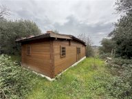 Vendita terreno agricolo EMPOLI