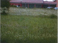 Vendita Terreno Agricolo San Martino di Venezze
