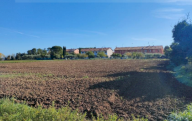 Vendita Terreno Agricolo Cartoceto