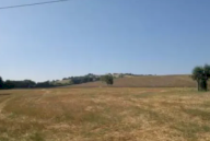 Vendita Terreno Agricolo Monte Porzio