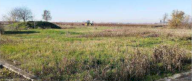 Vendita Terreno Agricolo Nogara