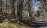 Vendita Terreno Agricolo Montale